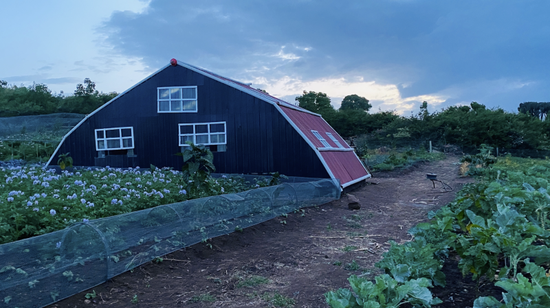 Tafaria Nano Farm